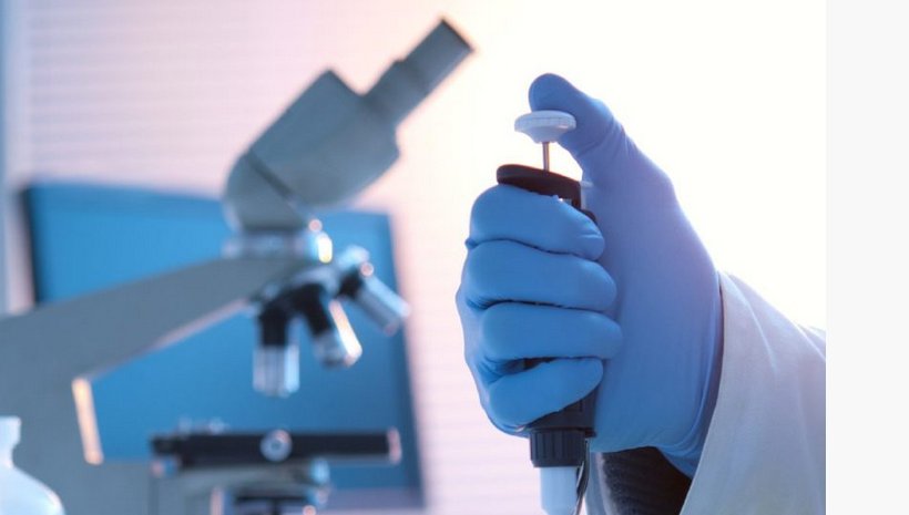 Labordiagnostik